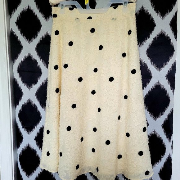 Anthropologie Dresses & Skirts - NWT Anthropologie Women's Dress Skirt ~ Size M ~ Cream & Black ~